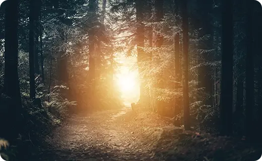 img_blog_-content-trauma-1