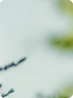 img_blog_-hvorforfoele-3