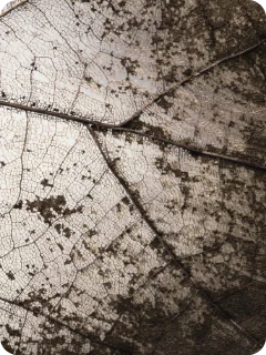 img_blog_avoidance_content2