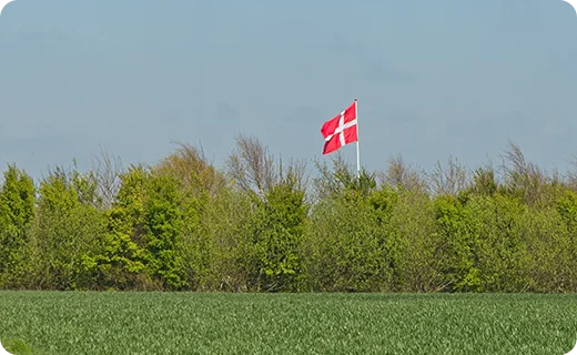 img_blog_content-reddergen-1