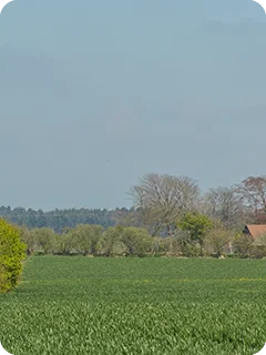 img_blog_content-reddergen-2