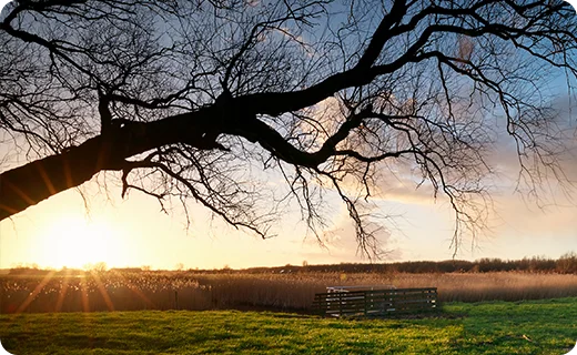 img_blog_content-reddergen-3