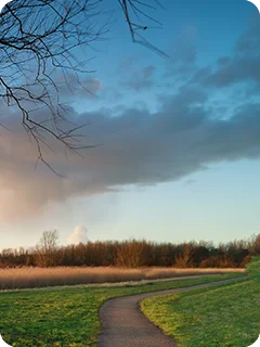 img_blog_content-reddergen-4