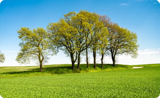 img_blog_eksamensangst_content-5