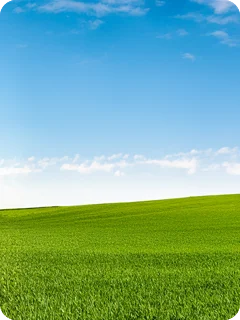 img_blog_eksamensangst_content-6