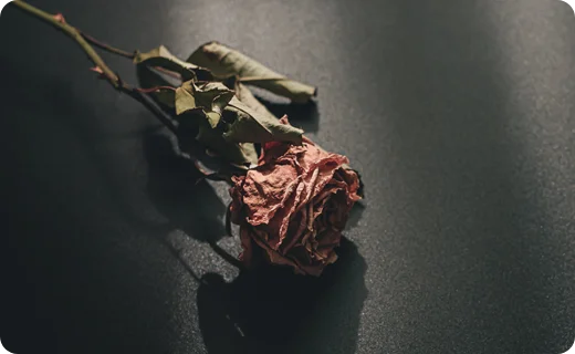 img_blog_en-dag-skal-du-do-content-3