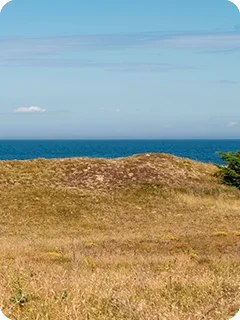 img_blog_foraelderskab-14