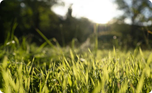 img_blog_frygt_content-5