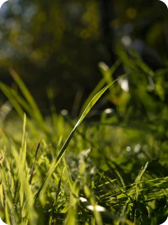 img_blog_frygt_content-6