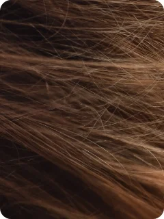 img_blog_narcissisme_content2