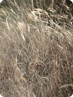 img_blog_selvomsorg_content-15